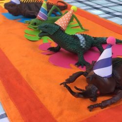 party hats on plastic toys