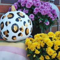 DIY Leopard Pumpkin