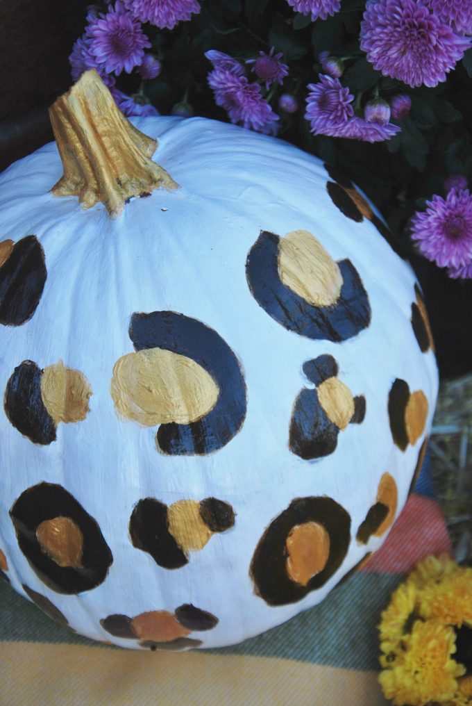 diy leopard pumpkin