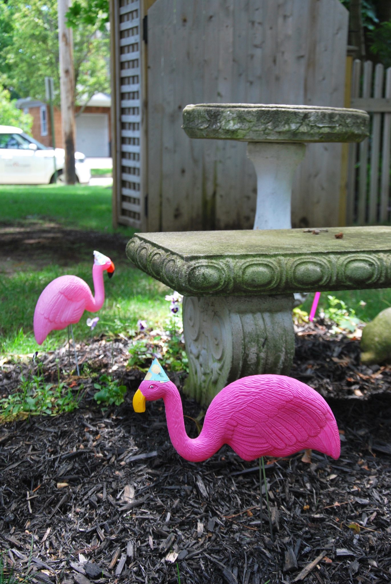1st birthday flamingo party