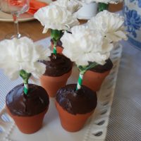 DIY Flower Pot Cupcakes