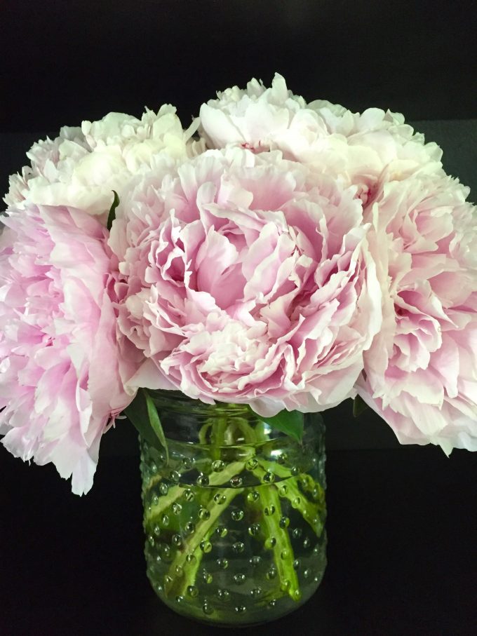 tips for how to get long lasting peony flowers