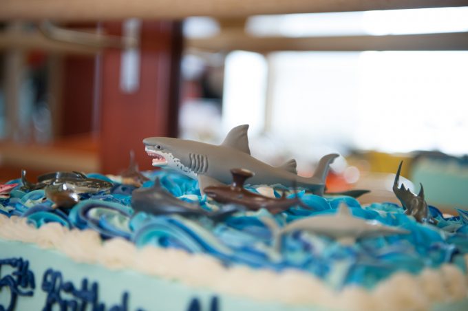 carlo's bakery shark cake