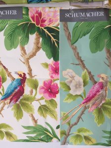 bird seychelles wallpaper