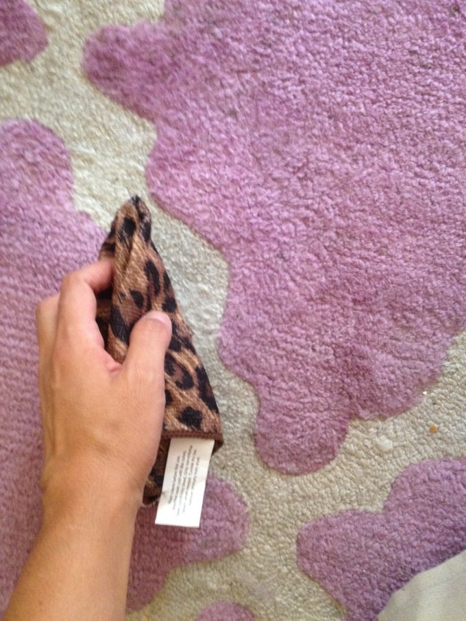 Windex as Carpet Cleaner