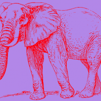 DIY Elephant Artwork
