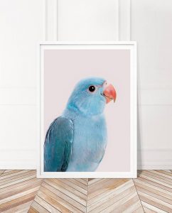 blue parrot photography artwork