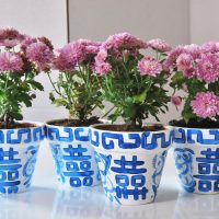 DIY PAINTED GINGER JARS