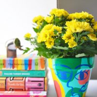 DIY Terra Cotta Pots turned Face Pot
