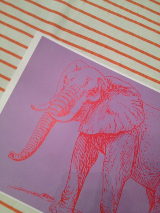 elephantprint