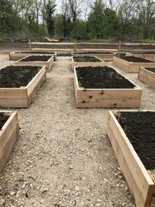 growing love community garden