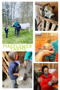 maeflower-farms-vermont