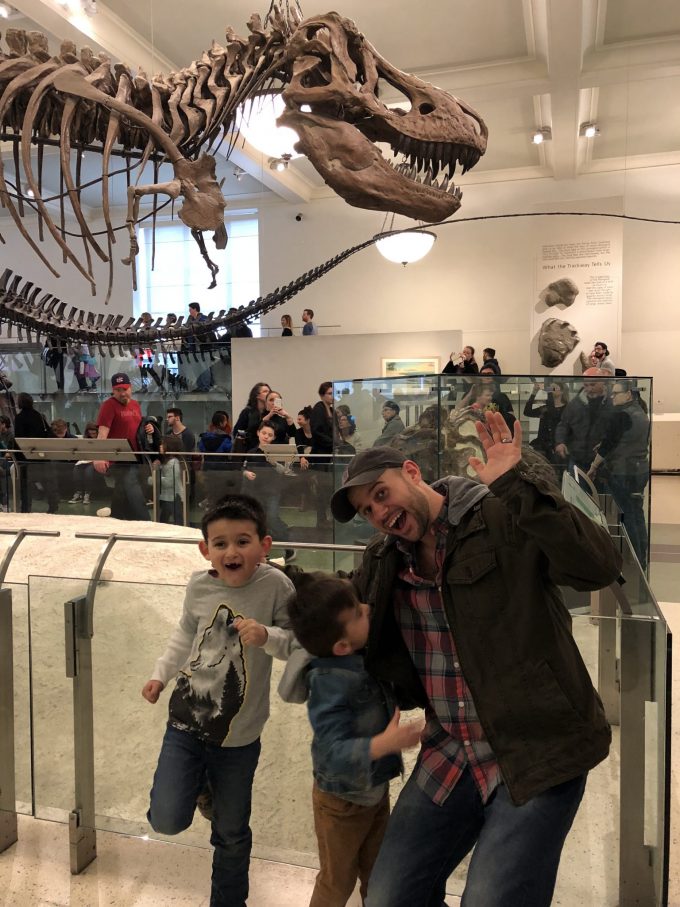 dinosaur floor museum of natural history