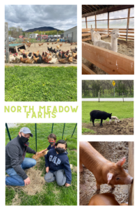 north-meadow-farms-manchester-vt