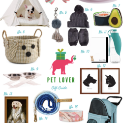 favorite-gifts-for-the-pet-lover-in-your-life
