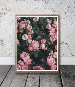 roses downloadable artwork print