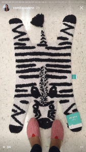 target zebra bath mat